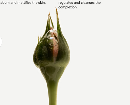 Purifying Night Serum P61 Botanical Blend with Peony