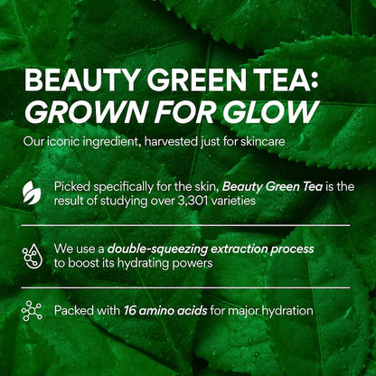 innisfree  Green Tea Caffeine Bright-Eye Serum with Niacinamide